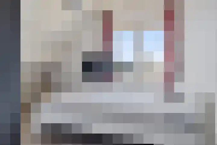 Schathuis 3 Delfzijl thumbnail 39