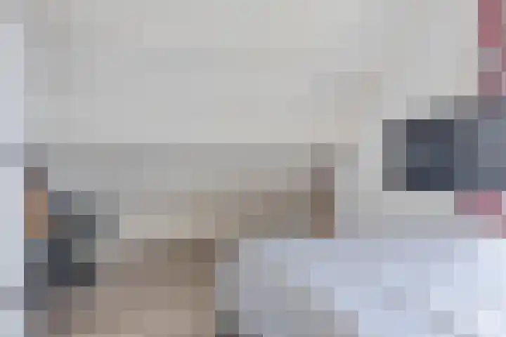 Schathuis 3 Delfzijl thumbnail 40