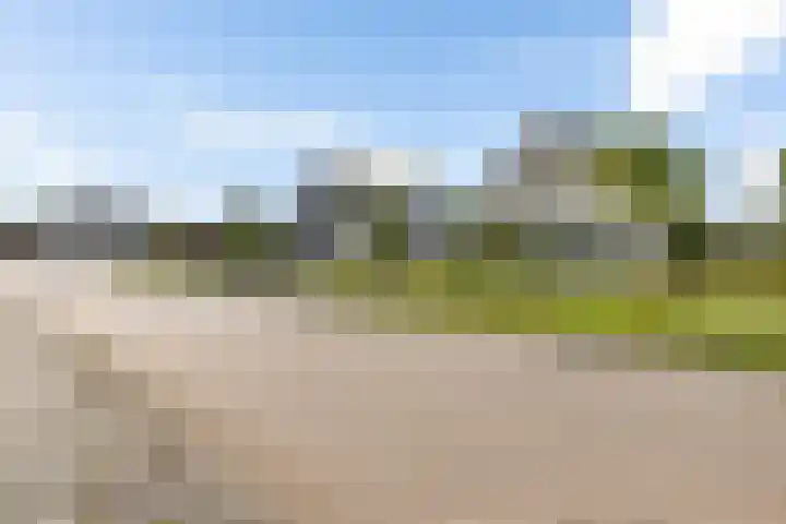 Schathuis 3 Delfzijl thumbnail 8