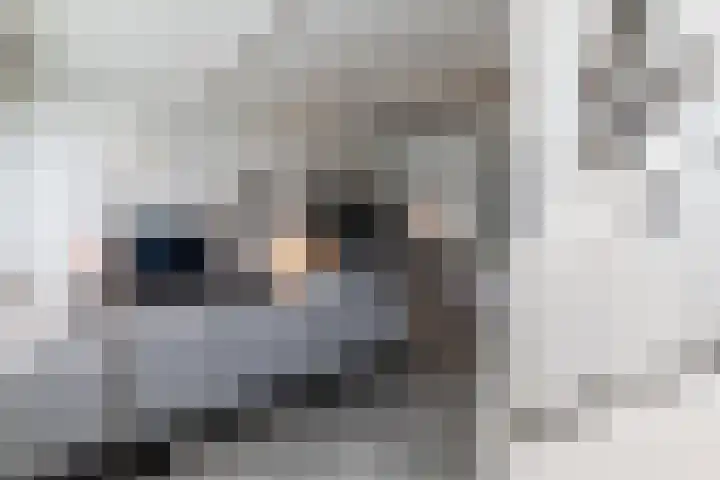 Schatkisthof 6 Schinveld thumbnail 10