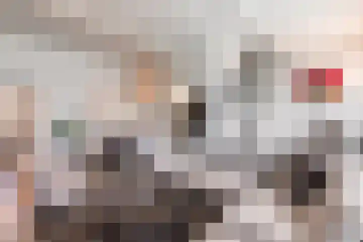 Schatkisthof 6 Schinveld thumbnail 11