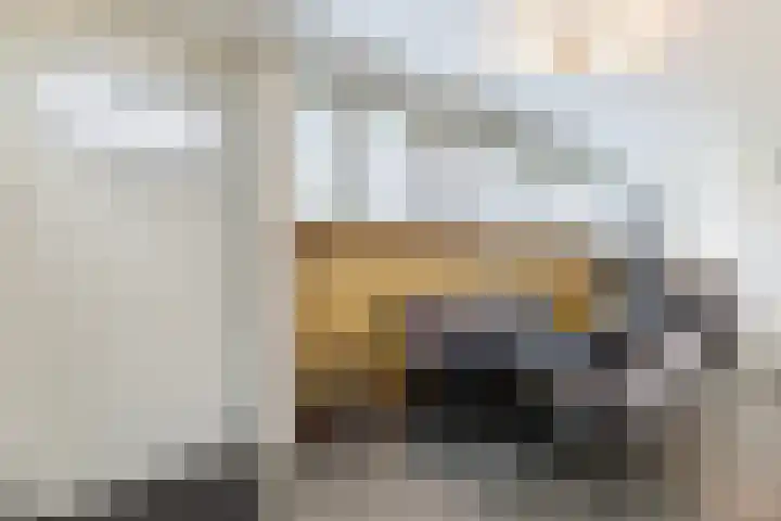 Schatkisthof 6 Schinveld thumbnail 14