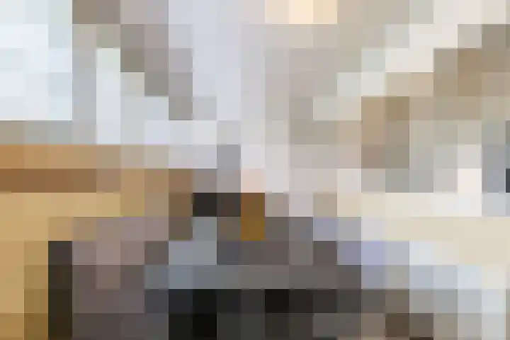Schatkisthof 6 Schinveld thumbnail 15
