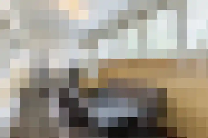Schatkisthof 6 Schinveld thumbnail 18