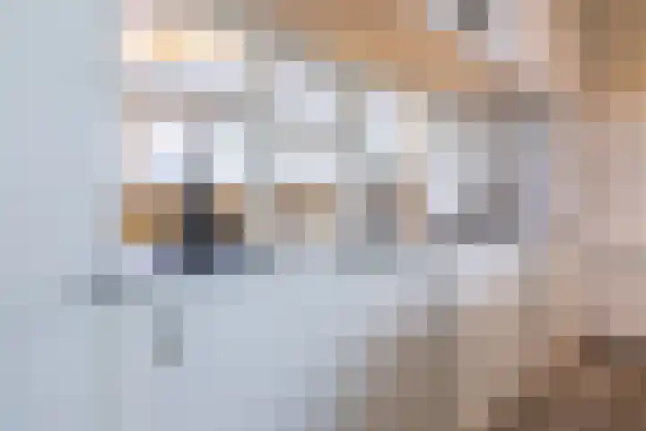Schatkisthof 6 Schinveld thumbnail 20