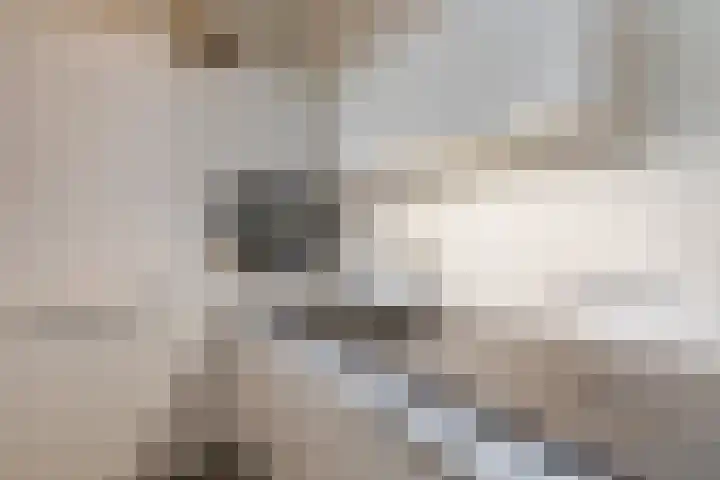 Schatkisthof 6 Schinveld thumbnail 21