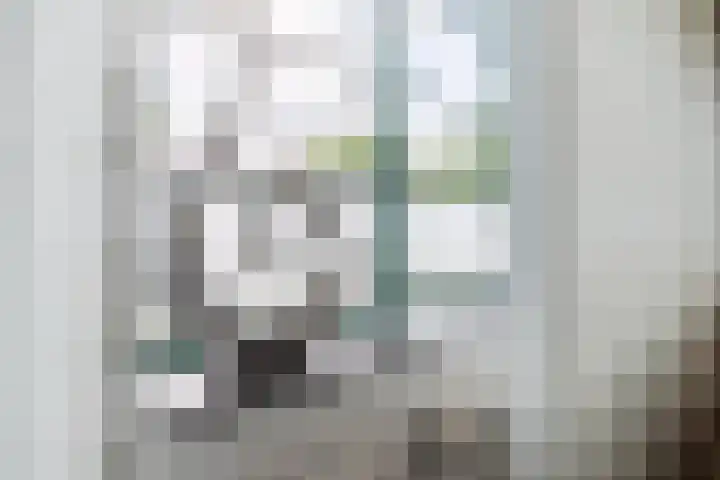 Schatkisthof 6 Schinveld thumbnail 24