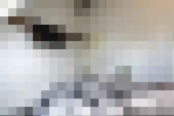 Schatkisthof 6 Schinveld thumbnail 30