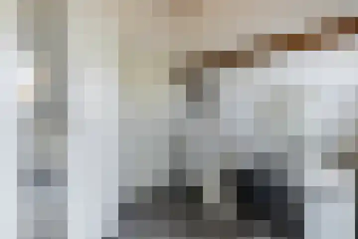 Schatkisthof 6 Schinveld thumbnail 32