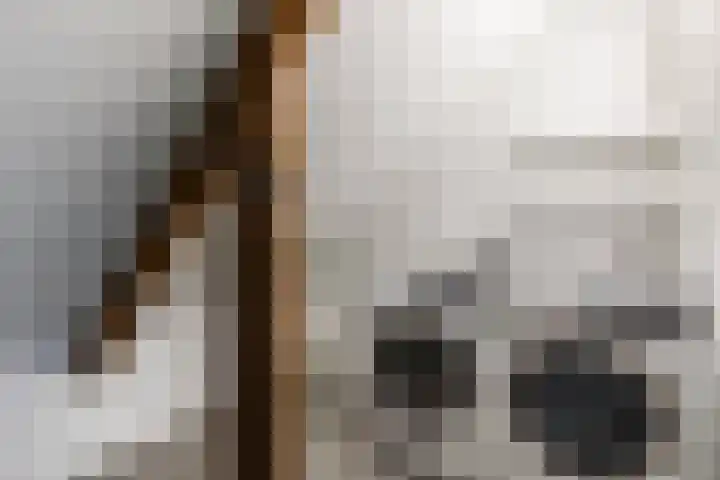 Schatkisthof 6 Schinveld thumbnail 33