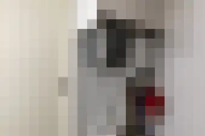 Schatkisthof 6 Schinveld thumbnail 34