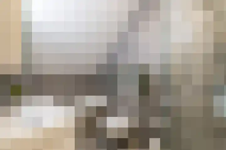 Schatkisthof 6 Schinveld thumbnail 39
