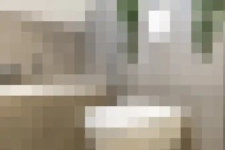 Schatkisthof 6 Schinveld thumbnail 41