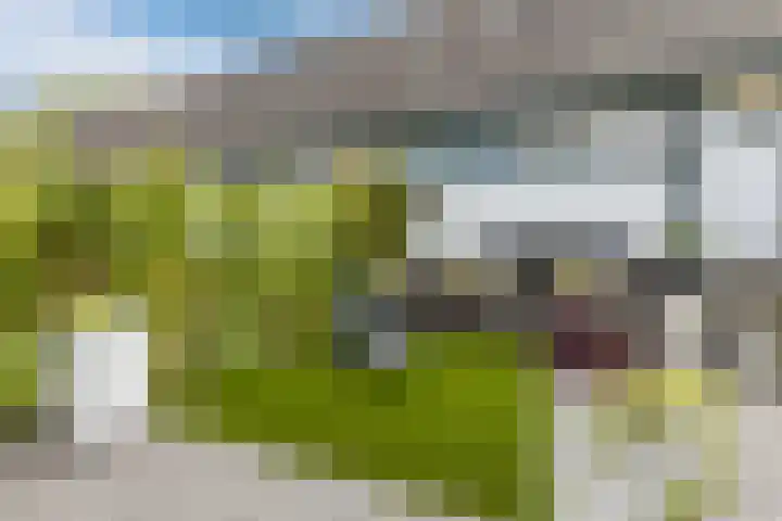 Schatkisthof 6 Schinveld thumbnail 44