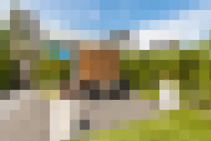 Schatkisthof 6 Schinveld thumbnail 47