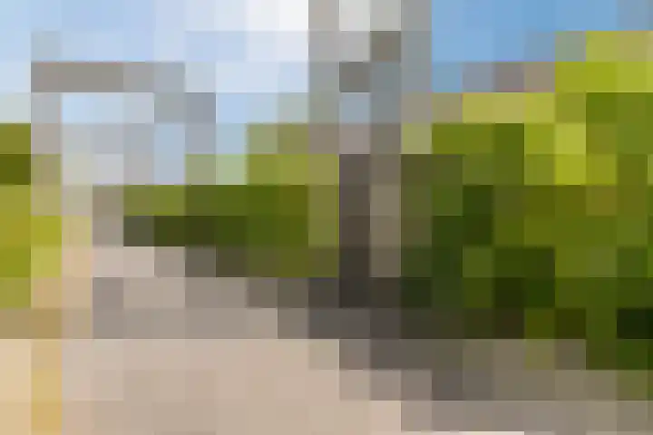 Schatkisthof 6 Schinveld thumbnail 48