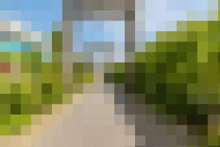 Schatkisthof 6 Schinveld thumbnail 49