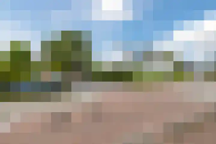 Schatkisthof 6 Schinveld thumbnail 52