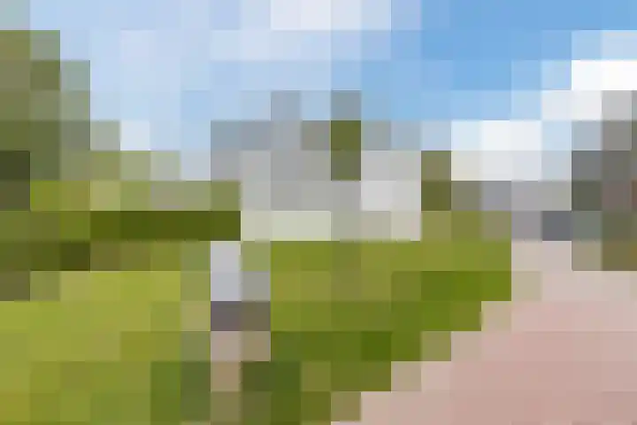 Schatkisthof 6 Schinveld thumbnail 6