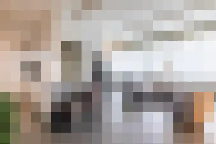 Schatkisthof 6 Schinveld thumbnail 8
