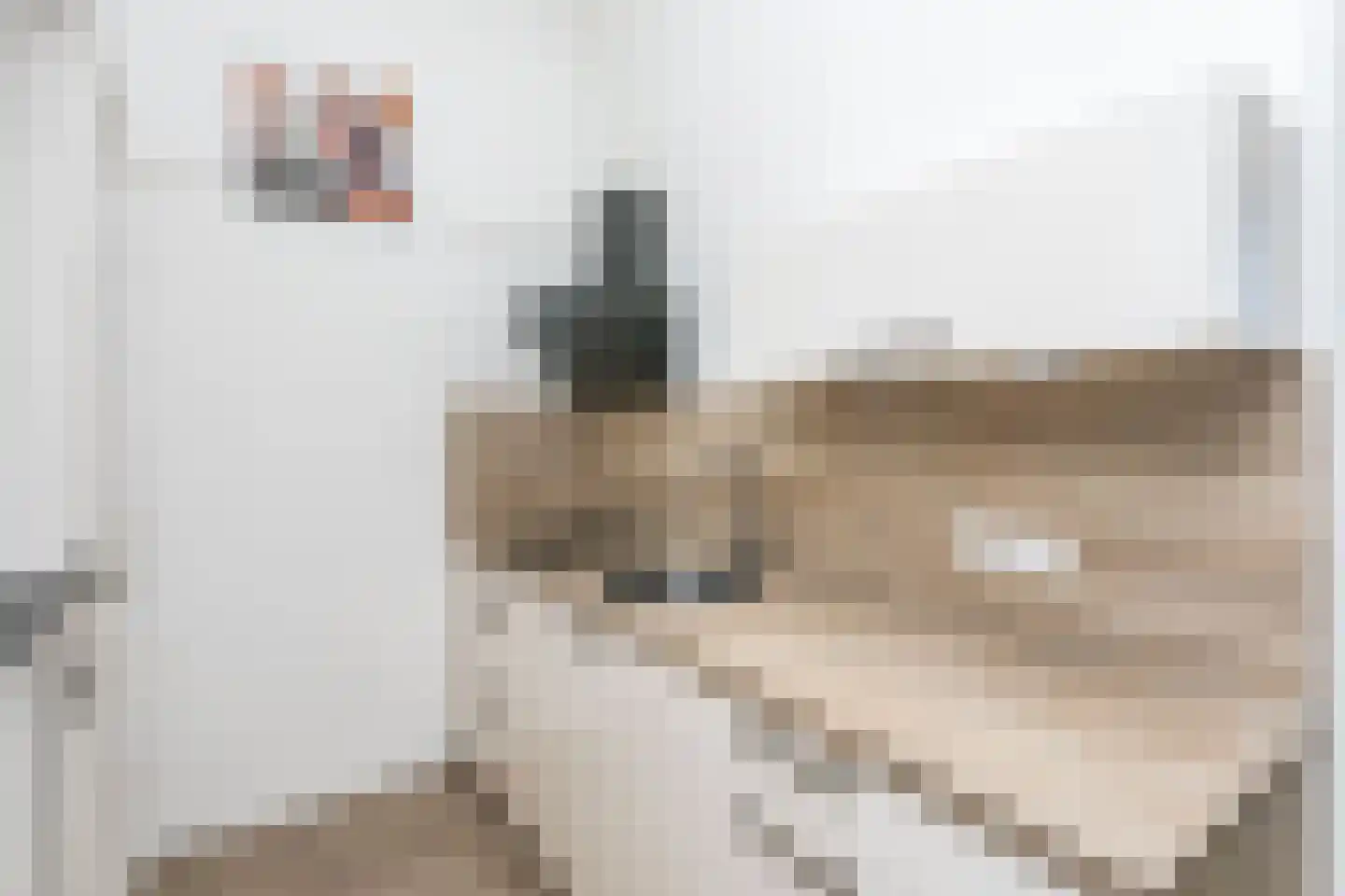 Schatkisthof 8 Schinveld thumbnail 11