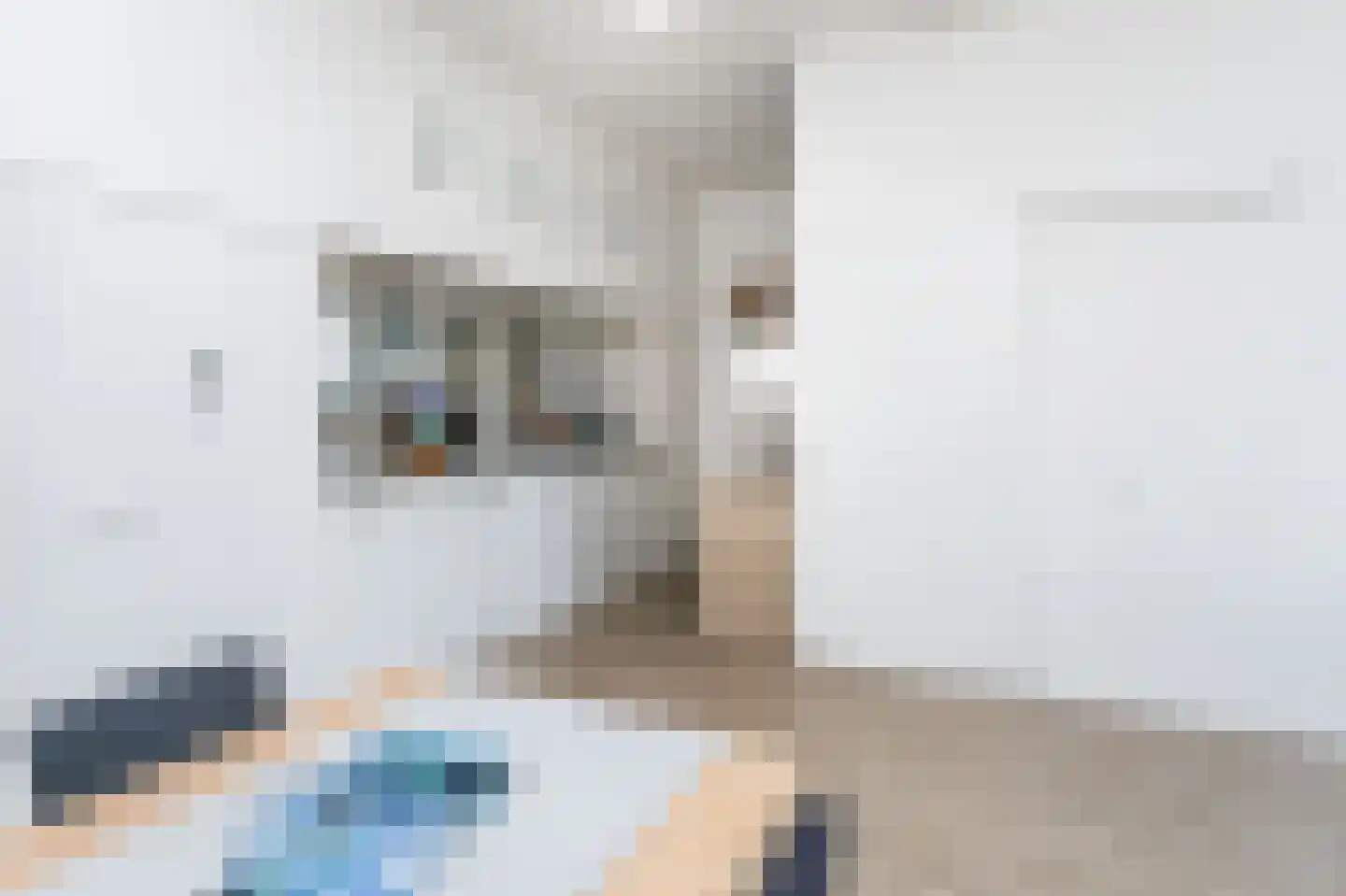 Schatkisthof 8 Schinveld thumbnail 13