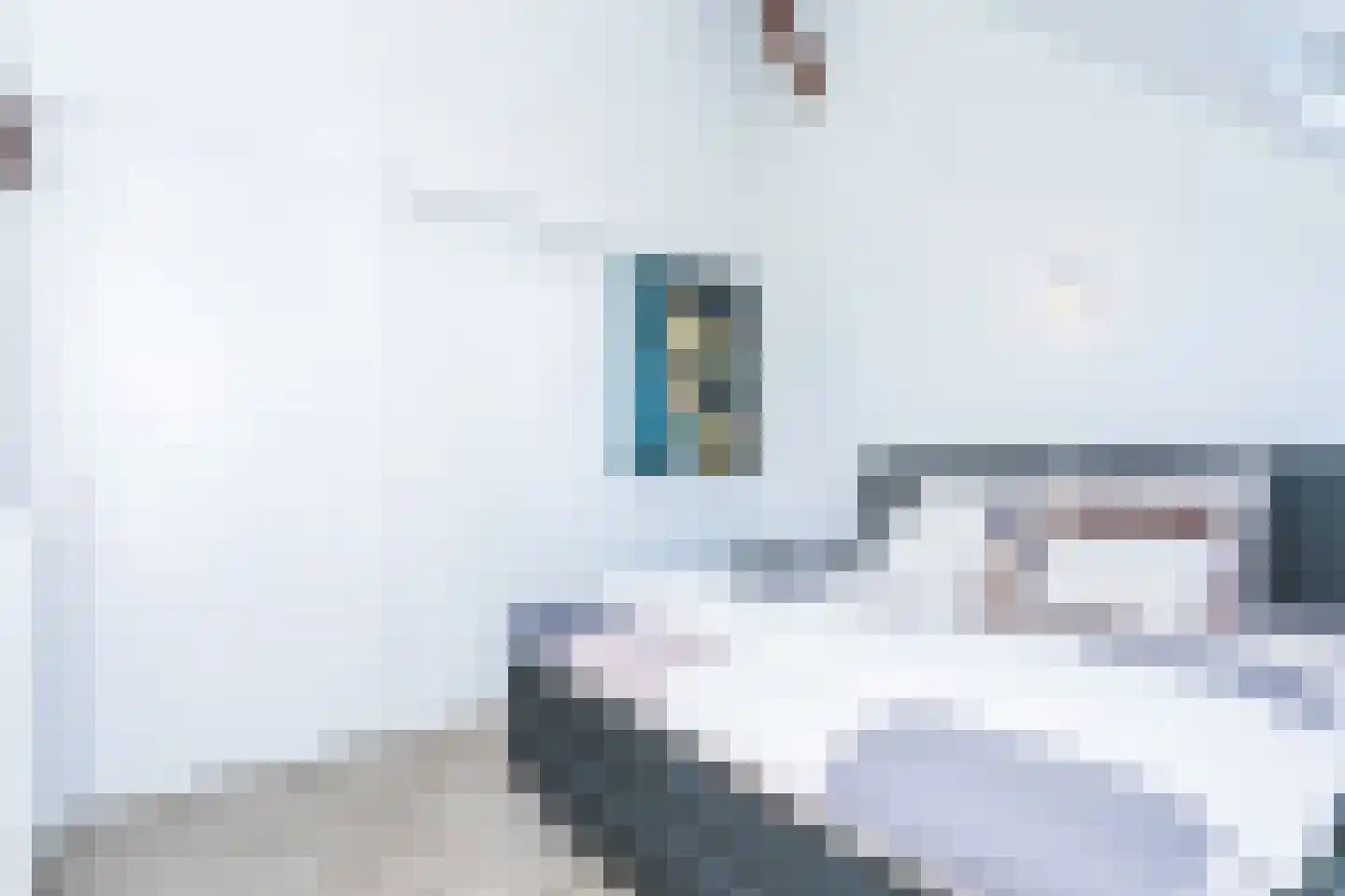 Schatkisthof 8 Schinveld thumbnail 24