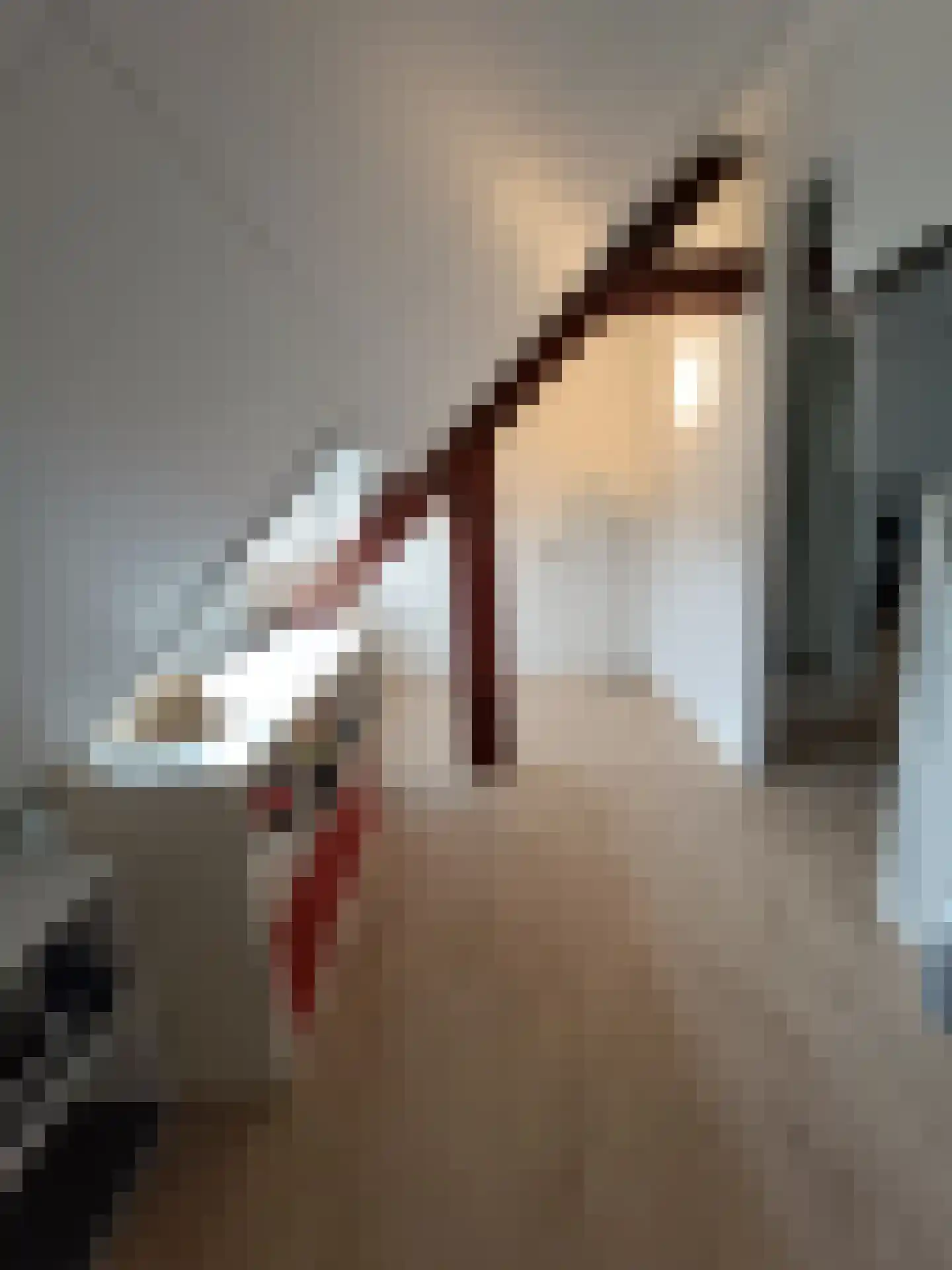Schatkisthof 8 Schinveld thumbnail 28
