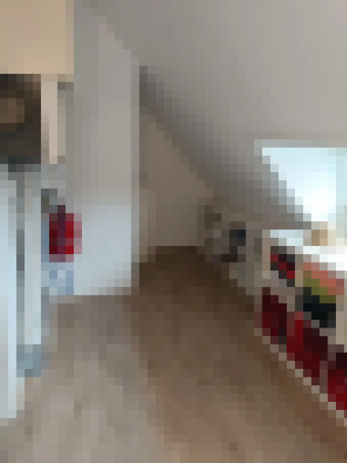 Schatkisthof 8 Schinveld thumbnail 30