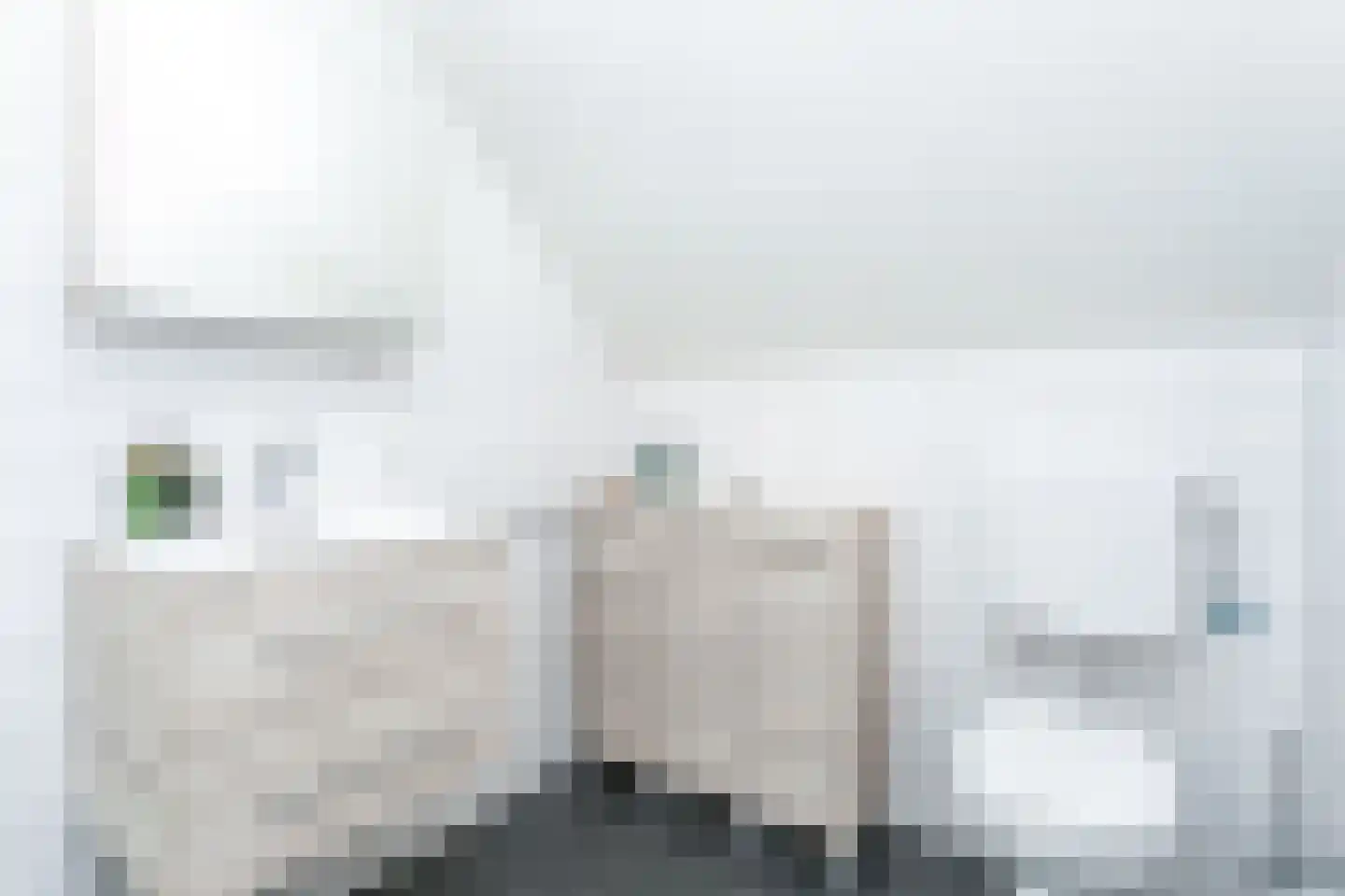 Schatkisthof 8 Schinveld thumbnail 32