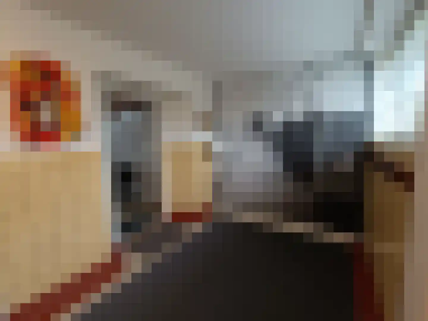 Schatkisthof 8 Schinveld thumbnail 8