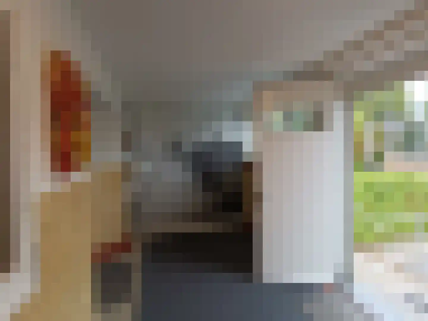 Schatkisthof 8 Schinveld thumbnail 9