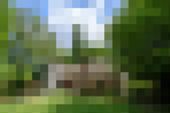 Schatkuilsestraat 4 Overasselt thumbnail 10