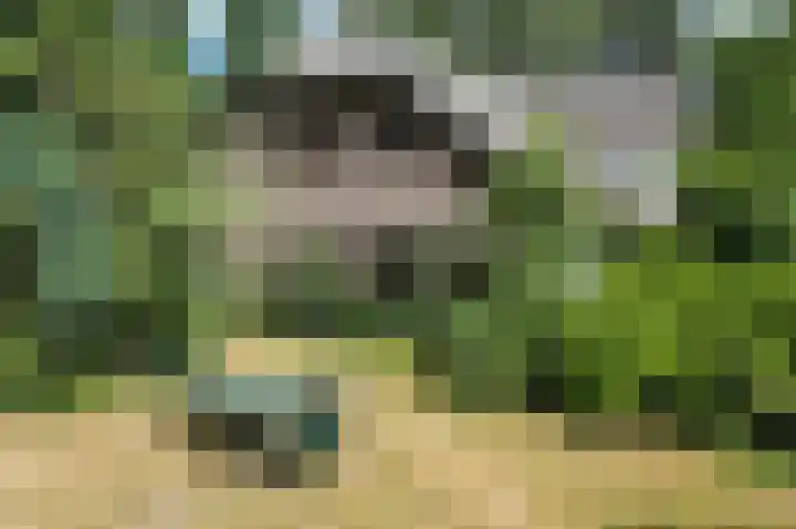 Schatkuilsestraat 4 Overasselt thumbnail 11