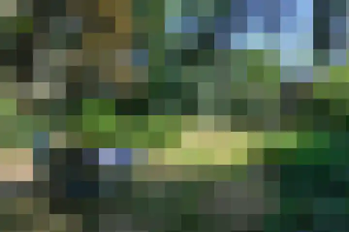 Schatkuilsestraat 4 Overasselt thumbnail 12