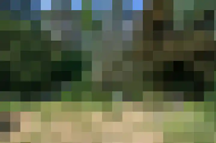 Schatkuilsestraat 4 Overasselt thumbnail 13