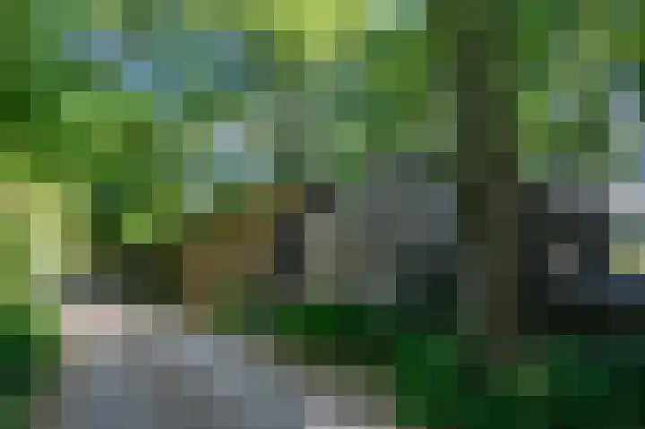 Schatkuilsestraat 4 Overasselt thumbnail 15