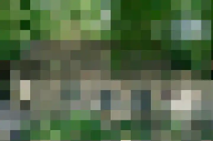 Schatkuilsestraat 4 Overasselt thumbnail 16