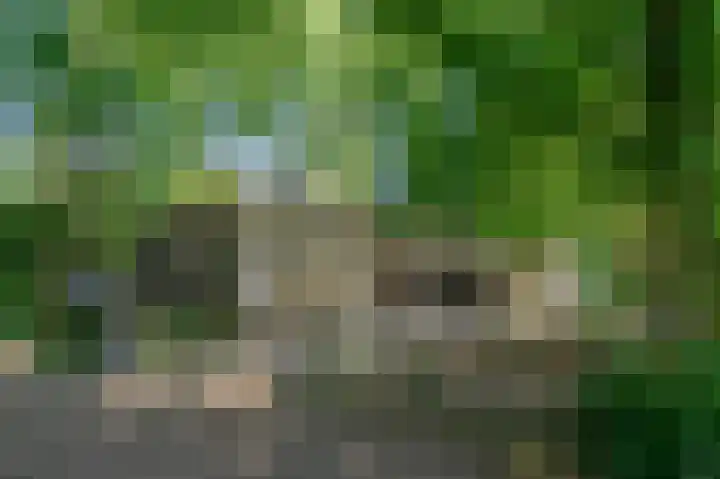 Schatkuilsestraat 4 Overasselt thumbnail 18