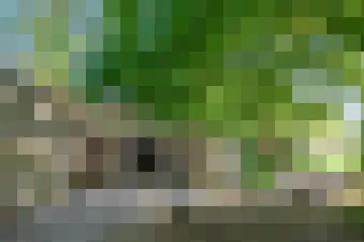 Schatkuilsestraat 4 Overasselt thumbnail 19