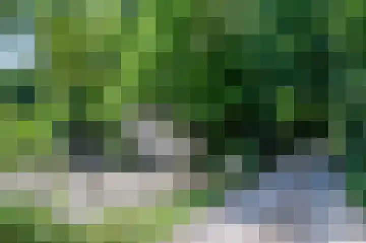 Schatkuilsestraat 4 Overasselt thumbnail 20