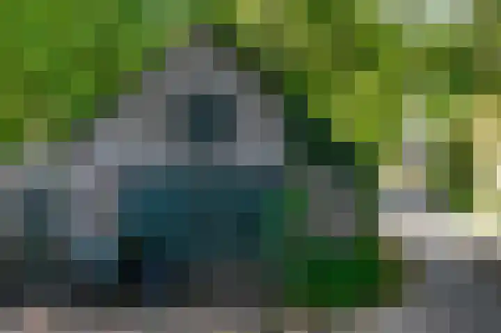 Schatkuilsestraat 4 Overasselt thumbnail 21