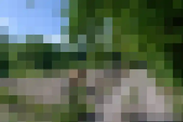 Schatkuilsestraat 4 Overasselt thumbnail 22