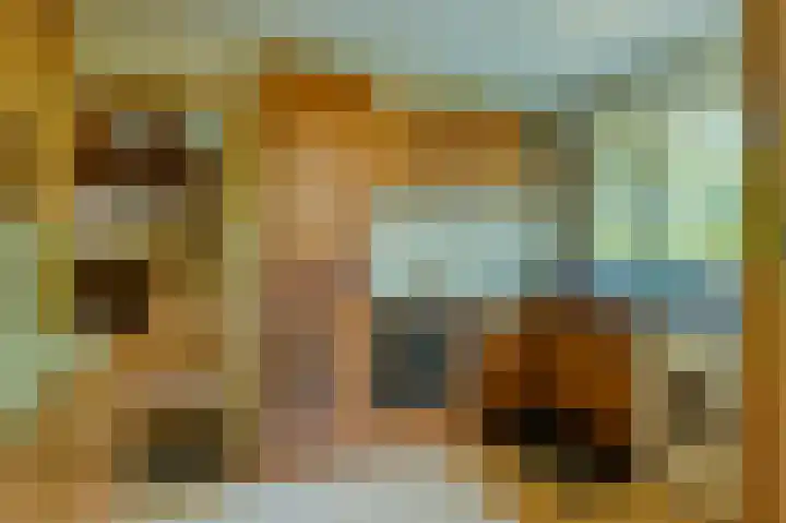 Schatkuilsestraat 4 Overasselt thumbnail 38
