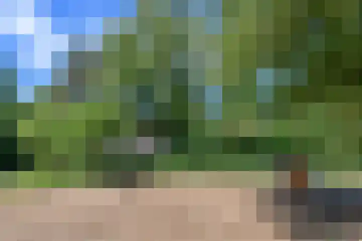 Schatkuilsestraat 4 Overasselt thumbnail 4