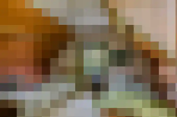 Schatkuilsestraat 4 Overasselt thumbnail 43
