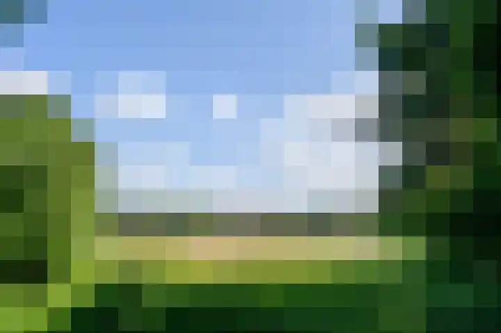 Schatkuilsestraat 4 Overasselt thumbnail 45