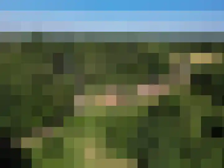 Schatkuilsestraat 4 Overasselt thumbnail 47