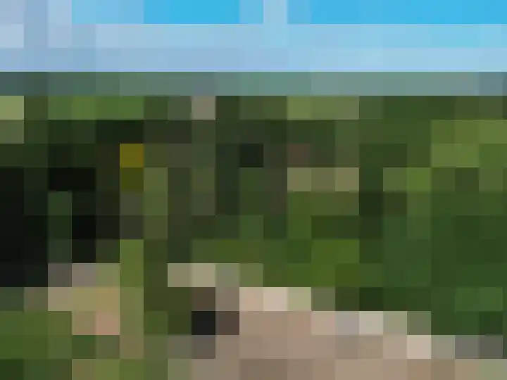 Schatkuilsestraat 4 Overasselt thumbnail 48