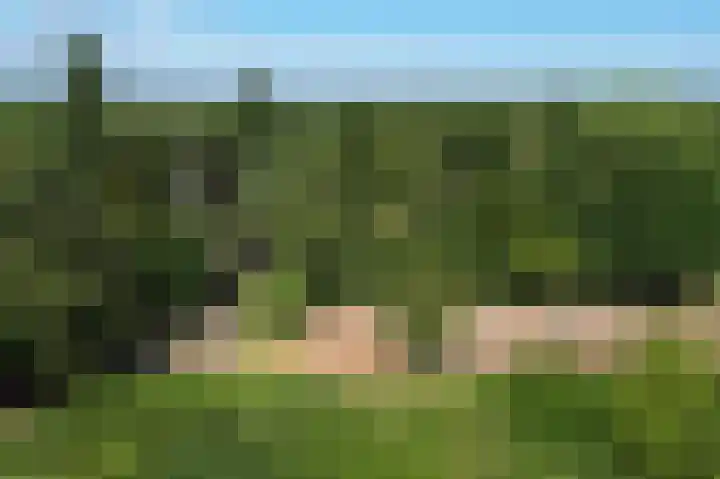 Schatkuilsestraat 4 Overasselt thumbnail 49